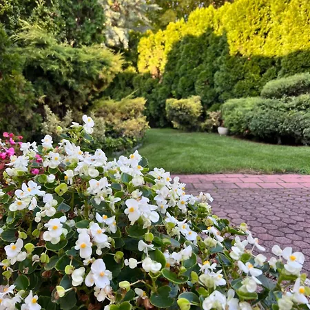 Relax Appartement Gárdony